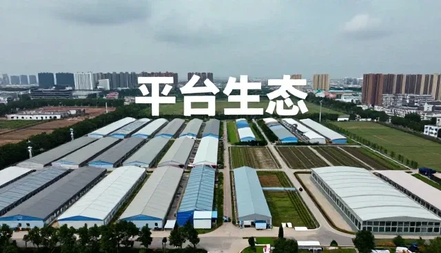 技术对接在APP网络推广中的关键作用与发展趋势